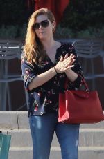 AMY ADAMS Out Shopping in West Hollywood 02/02/2018
