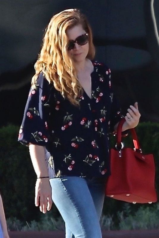 AMY ADAMS Out Shopping in West Hollywood 02/02/2018