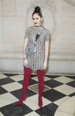 ARAYA HARGATE at Christian Dior Show at Paris Fashion Week 02/27/2018