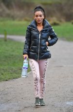 CHELSEA HEALEY Working Out at a Park in Manchester 02/18/2018