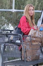 DENISE RICHARDS Out Shopping in Calabasas 02/16/2018