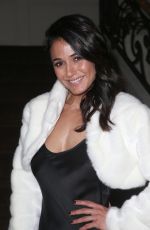 EMMANUELLE CHRIQUI at 2018 Los Angeles Ballet Gala in Beverly Hills 02/24/2018