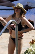 FRANCES BEAN COBAIN in Bikini on Vacation in Hawaii 02/12/2018