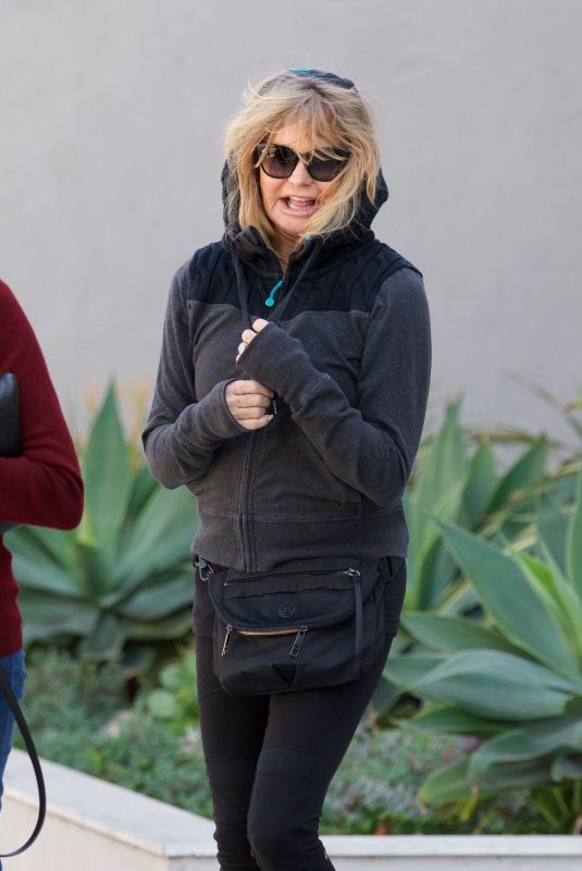 GOLDIE HAWN Out Shopping in Brentwood 02/24/2018