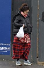 HELENA BONHAM CARTER Out in Hampstead 02/10/2018