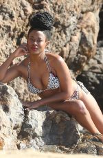 KEYLA MCNEELY in Bikini at a Beach in Malibu 02/24/2018