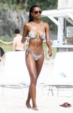 LAIS RIBEIRO and JASMINE TOOKES in Bikinis at a Beach in Miami 02/20/2018