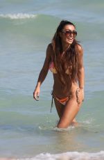 METISHA SCHAEFER in Bikini at a Beach in Miami 02/14/2018