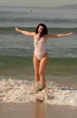 NATASHA BLASICK in Swimsuit at a Beach in Malibu 02/18/2018