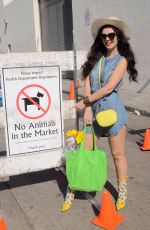 NATASHA BLASICK Shopping at Farmers Market in Hollywood 02/04/2018
