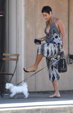 NICOLE MURPHY Out with Her Dog in Beverly HIlls 02/16/2018