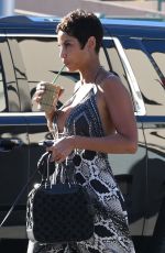 NICOLE MURPHY Out with Her Dog in Beverly HIlls 02/16/2018