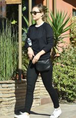 OLIVIA WILDE Out and About in Los Angeles 02/01/2018