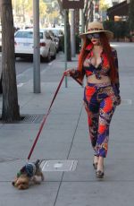 PHOEBE PRICE Out with Her Dog in Beverly Hills 01/31/2018