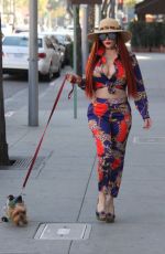 PHOEBE PRICE Out with Her Dog in Beverly Hills 01/31/2018