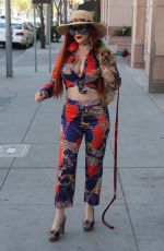 PHOEBE PRICE Out with Her Dog in Beverly Hills 01/31/2018