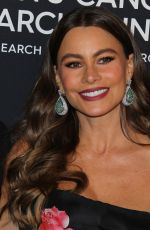 SOFIA VERGARA at Womens Cancer Research Fund Hosts an Unforgettable Evening in Los Angeles 02/27/2018