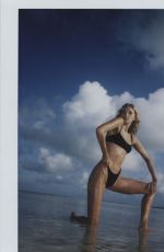 Solid & Striped - Swimteam 2018