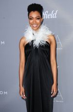 SONEQUA MARTIN GREEN at Costume Designer Guild Awards 2018 in Beverly Hills 02/20/2018