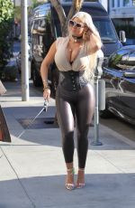 SOPHIA VEGAS WOLLERSHEIM Out with Her Dog in Beverly Hills 02/20/2018