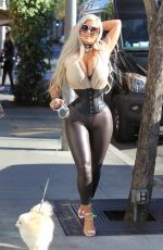 SOPHIA VEGAS WOLLERSHEIM Out with Her Dog in Beverly Hills 02/20/2018