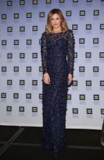 TAYLOR LOUDERMAN at 17th Annual HRC Greater New York Gala in New York 02/03/2018