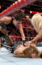WWE - Raw Digitals 02/05/2018