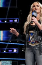 WWE - Smackdown Live Digitals 01/30/2018