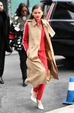 ZENDAYA COLEMAN Arrives at Michael Kors Fashion Show in New York 02/14/2018