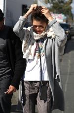 ZENDAYA COLEMAN Out and About in West Hollywood 02/22/2018