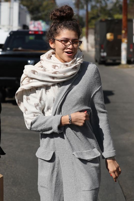 ZENDAYA COLEMAN Out and About in West Hollywood 02/22/2018