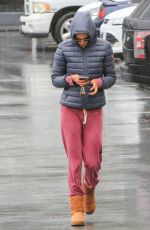 ALESSANDRA AMBROSIO Out in Los Angeles 03/02/2018