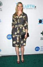 AMY SMART at Global Green Pre-Oscars Party in Los Angeles 02/28/2018