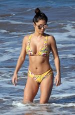 ARIANNY CELESTE in Bikini on the Beach in Hawaii 03/15/2018