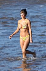 ARIANNY CELESTE in Bikini on the Beach in Hawaii 03/15/2018
