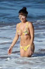 ARIANNY CELESTE in Bikini on the Beach in Hawaii 03/15/2018