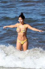 ARIANNY CELESTE in Bikini on the Beach in Hawaii 03/15/2018