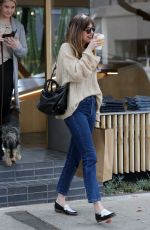 DAKOTA JOHNSON Out Shopping in Los Angeles 03/01/2018