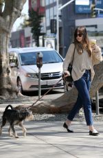 DAKOTA JOHNSON Out Shopping in Los Angeles 03/01/2018