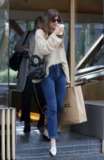 DAKOTA JOHNSON Out Shopping in Los Angeles 03/01/2018