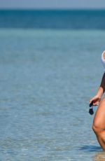 DAPHNE JOY in Swimsuit at a Beach in Miami 03/16/2018