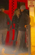 DENISE RICHARDS Night Out in Los Angeles 03/24/2018