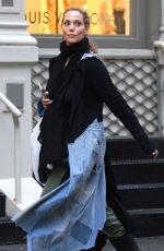 ELIZABETH BARKLEY Out Shopping in New York 03/23/2018