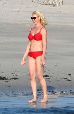KATHERINE HEIGL in Bikini at a Beach in Puerta Vallarta 03/06/2018
