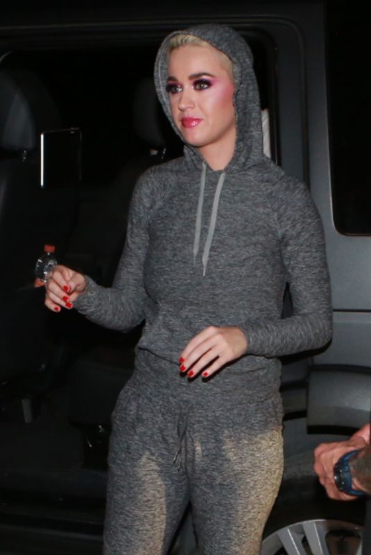 KATY PERRY at Airport in Rio De Janeiro 03/17/2018