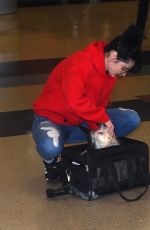 KRYSTEN RITTER Arrives at Los Angeles International Airport 03/16/2018
