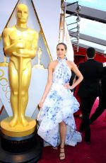 LOUISE ROE at 90th Annual Academy Awards in Hollywood 03/04/2018