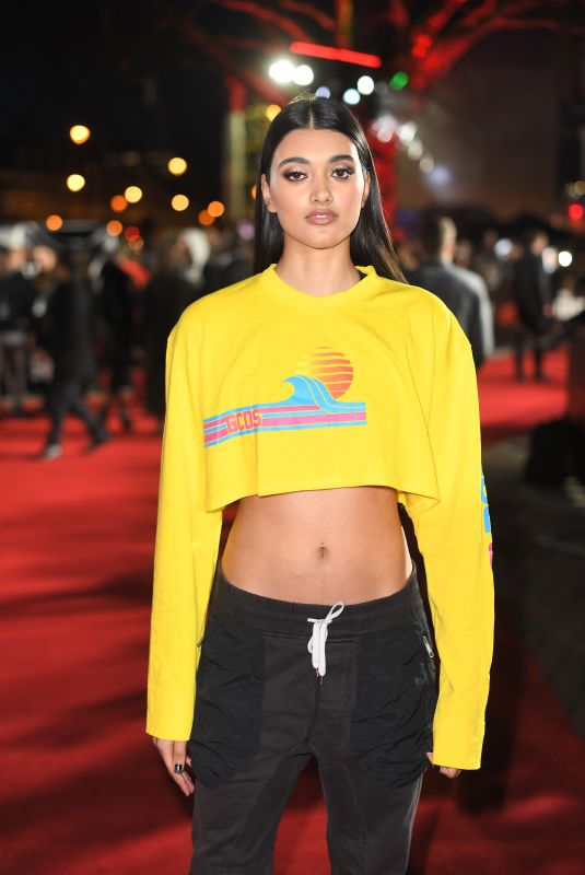 NEELAM GILL at The Defiant Ones Premiere in London 03/15/2018