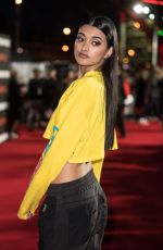 NEELAM GILL at The Defiant Ones Premiere in London 03/15/2018