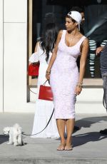 NICOLE MURPHY in Tight Dress Out with Her Dog in Beverly Hills 03/28/2018
